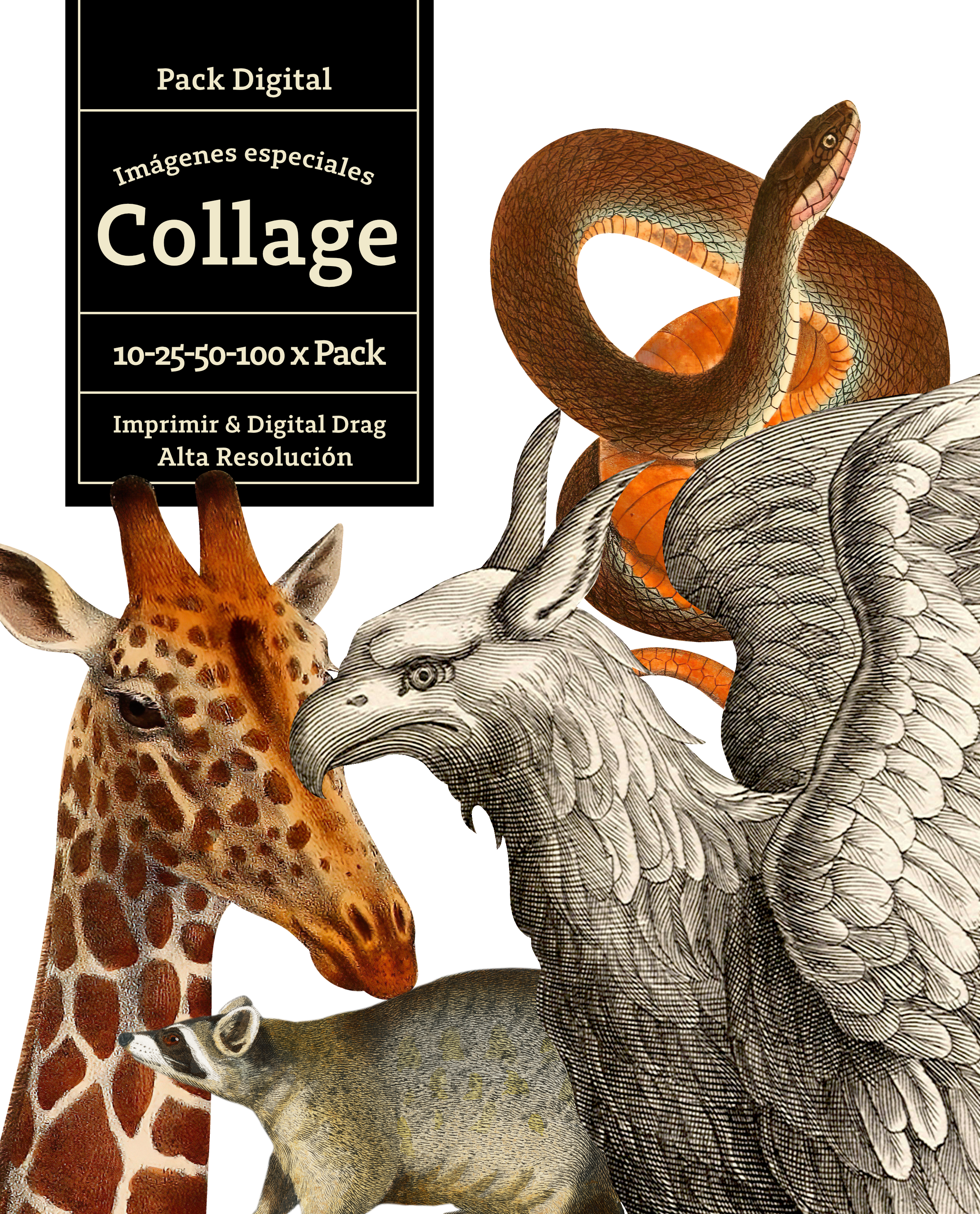 Pack 57 Animales Vintage ilustrados